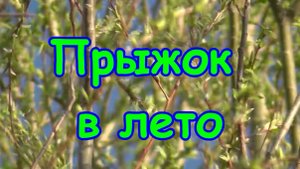 Прыжок в лето, Дельта Волги апрель 2019г