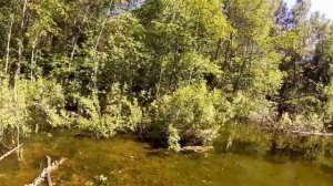 Миропіль 2015 Мирополь