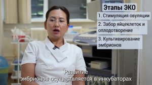 Отделение вспомогательных репродуктивных технологий РНЦХ им. акад. Б.В. Петровского