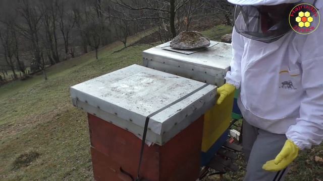 Tretiranje pčela OKSALNOM stanje u standardnim košnicama oxalic acid treatment varroa honey bees wa смотреть онлайн