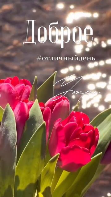 Скачивай БЕСПЛАТНО в моем ТЕЛЕГРАМ канале видео и стикеры для оформления твоих сторис!