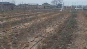 Март 2025 голубика малина ежевика