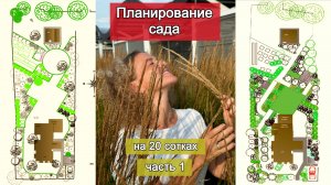 Делаю сад в природном стиле с минимальным уходом. Часть 1