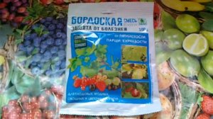 Бордосская смесь. Убиваем грибки нежно..