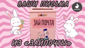 Зайпочта: читаем письма для кроликов от гостей в Зайкафе