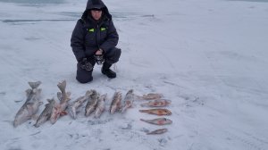 Часть 1 - ловля живца