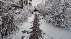 Рязань после снегопада 15.03.2025