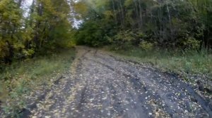 Трактор Кировец 701 пашет Иду на кукурузное поле