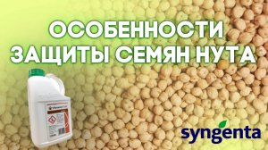 НУТ |  Особенности защиты семян |