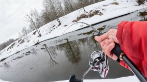 НАШЁЛ ЛЕЩА а ПОД НИМ СУДАКИ КЛЮЮТ! Рыбалка на малой реке, на спиннинг