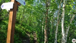 На севере жить: водопад на реке "Шуонийоки"