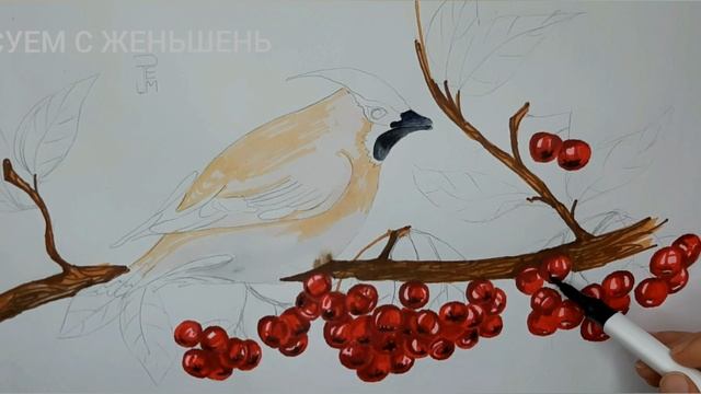 ПтицА На  Ветке Рябины. Рисунок  МАРКЕРАМИ.