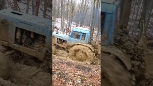 Очередная поездка за черемшой на мтз 82 с турбиной