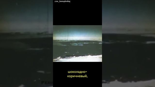 Оазис в Антарктике