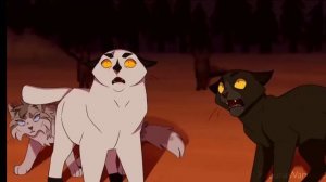 Everything Move Sol Warriors cats MAP коты воители сол мап | BlacK FaLcoN |