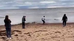 Поездка в Варзугу