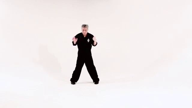 Lam Ka Hung Kuen - Lam Chun Chung and Lam Chun Sing 林鎮忠 林鎮成 смотреть онлайн