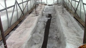 Муромцево  16 марта 2025г Зашли в теплицу