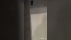 Жк "Балтийская Гавань", г.Балтийск.
Приёмка квартиры и обзор.