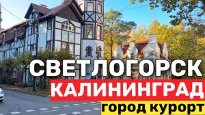 Светлогорск за 1 день что посмотреть? чем интересен? Обзор Глэмпинга ШАЛАШ | Калининград