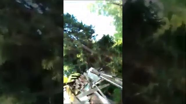 Исследуют.