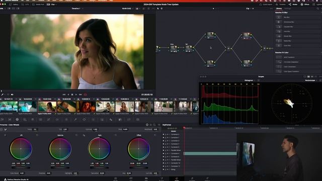Правильная работа с деревом узлов в Davinci Resolve