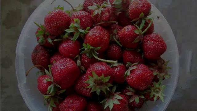 Зачетная презентация в программе Vegas Pro 15. смотреть онлайн