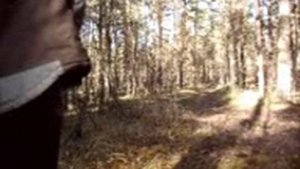 Арбалет Полет Болта