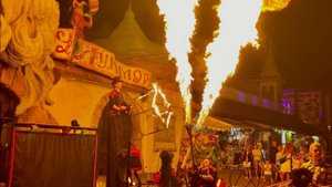Merlin Performances