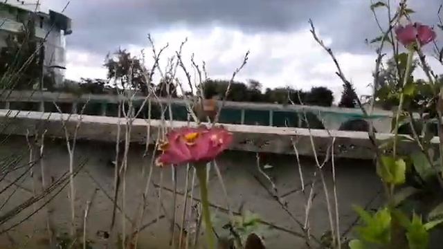 Бражник смотреть онлайн