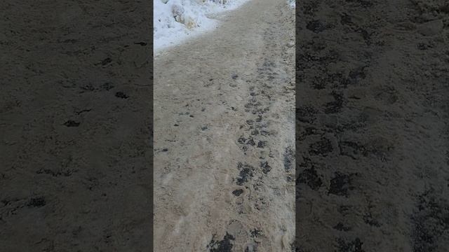 1 марта 2025 г., 11:02:46
ул. Полины Осипенко
VID_20250301_110112128
