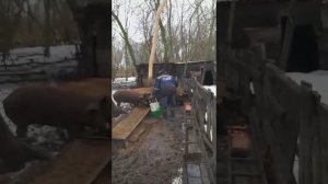ТАКОЙ КОМАНДИР ОБУЧИТ ЛЮБОГО!😂😂