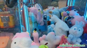 ЗАГРУЗКА В АППАРАТАХ telephone 🎰, часть III, заглянула ещё в 3 аппарата, кого поймаю на этот раз😉