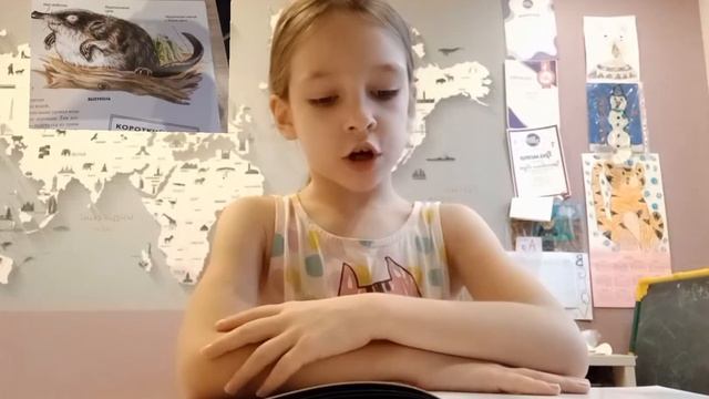 выхухоли смотреть онлайн