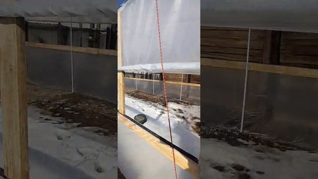 🌱Начало сезона. Теплица - рассадник для успешного выращивания здоровых саженцев клубники.🍓