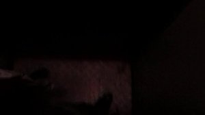 Лифт КМЗ-(1969 г. модер. под Мослифт 2004 г.), V=0,71 м/с, Q=320 кг (39)