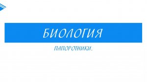 6 класс - Биология - Папоротники