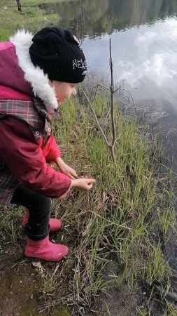 Поймали мелкого линька! Пусть растёт малыш!  #рыбалка #fishing #ловлякарася #карась #линь