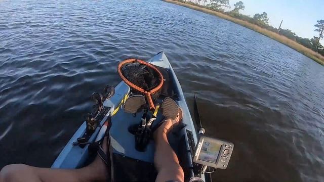 I HOOKED A MASSIVE ALLIGATOR ON MY KAYAK смотреть онлайн