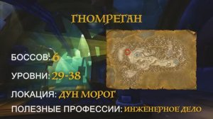 Wow Classic. Гномреган.