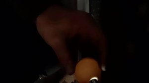 Инкубация бройлера, результаты вывода.