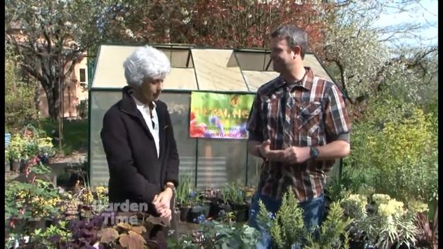 Petal Heads - Gardenpalooza