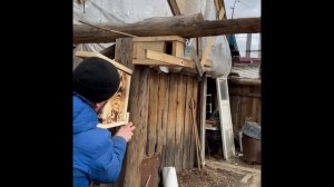 Кормушка для птиц