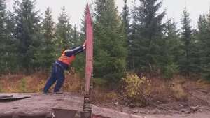 работа в лесу