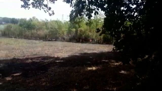 Terni, incendio a Campomaggiore: paura, fiamme domate смотреть онлайн