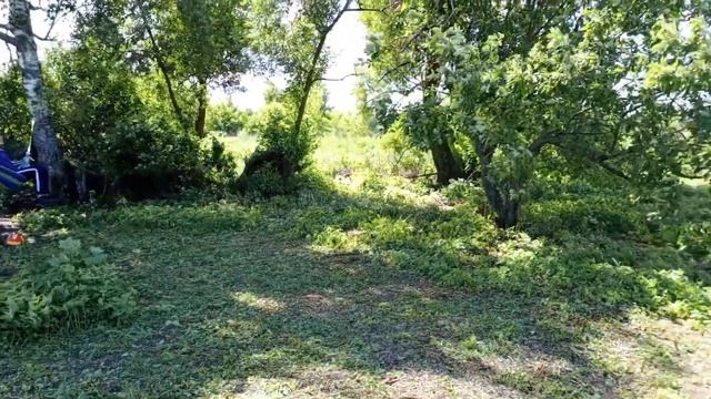 Готовлю жилье для несушек. Скоро будет пополнение! смотреть онлайн