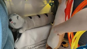 Мы сделали красивый домик киски Губки и киски Комочка