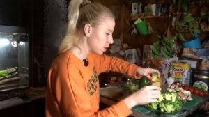 23 Брокколи или Куём на  удалёнке