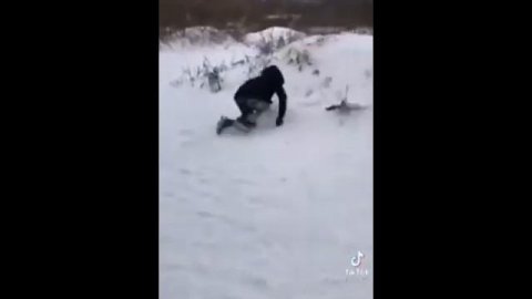 Снюсоед нашёл снюс и откинулся