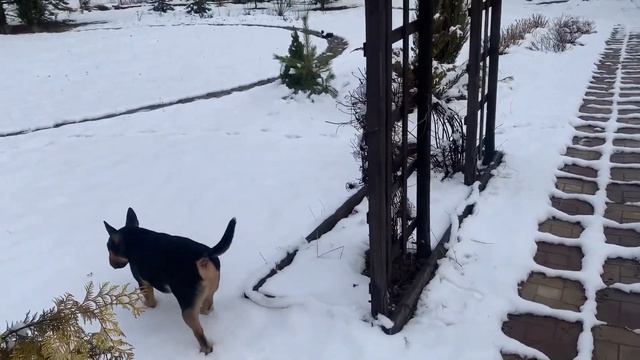 Первоапрельский снег. Опять на чердак 01.04 смотреть онлайн